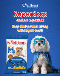 ROYAL HEART HEALTY NUTRITION PREMIUM DOG FOOD CH