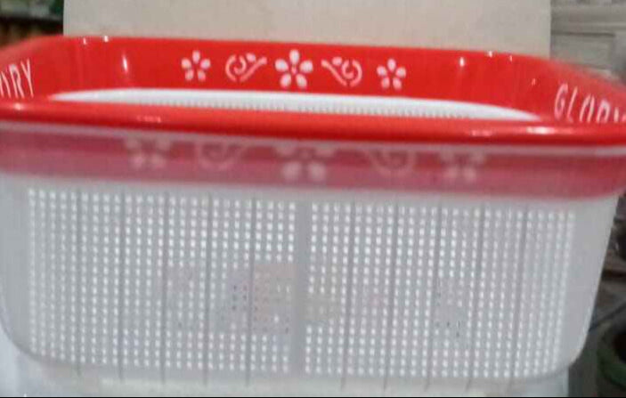 GLORY PURE PLASTIC CHICKO LARGE